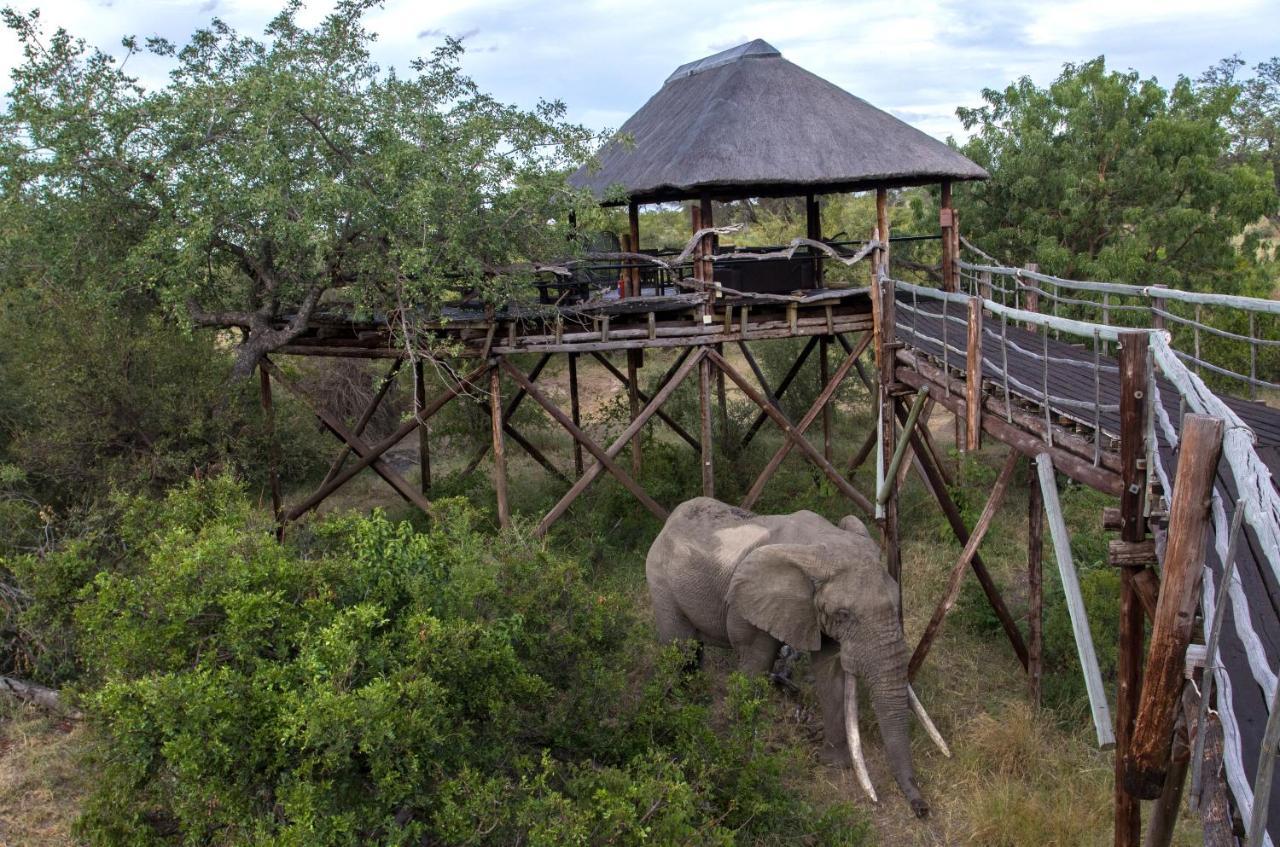 Ezulwini Game Lodges Mica Exterior photo